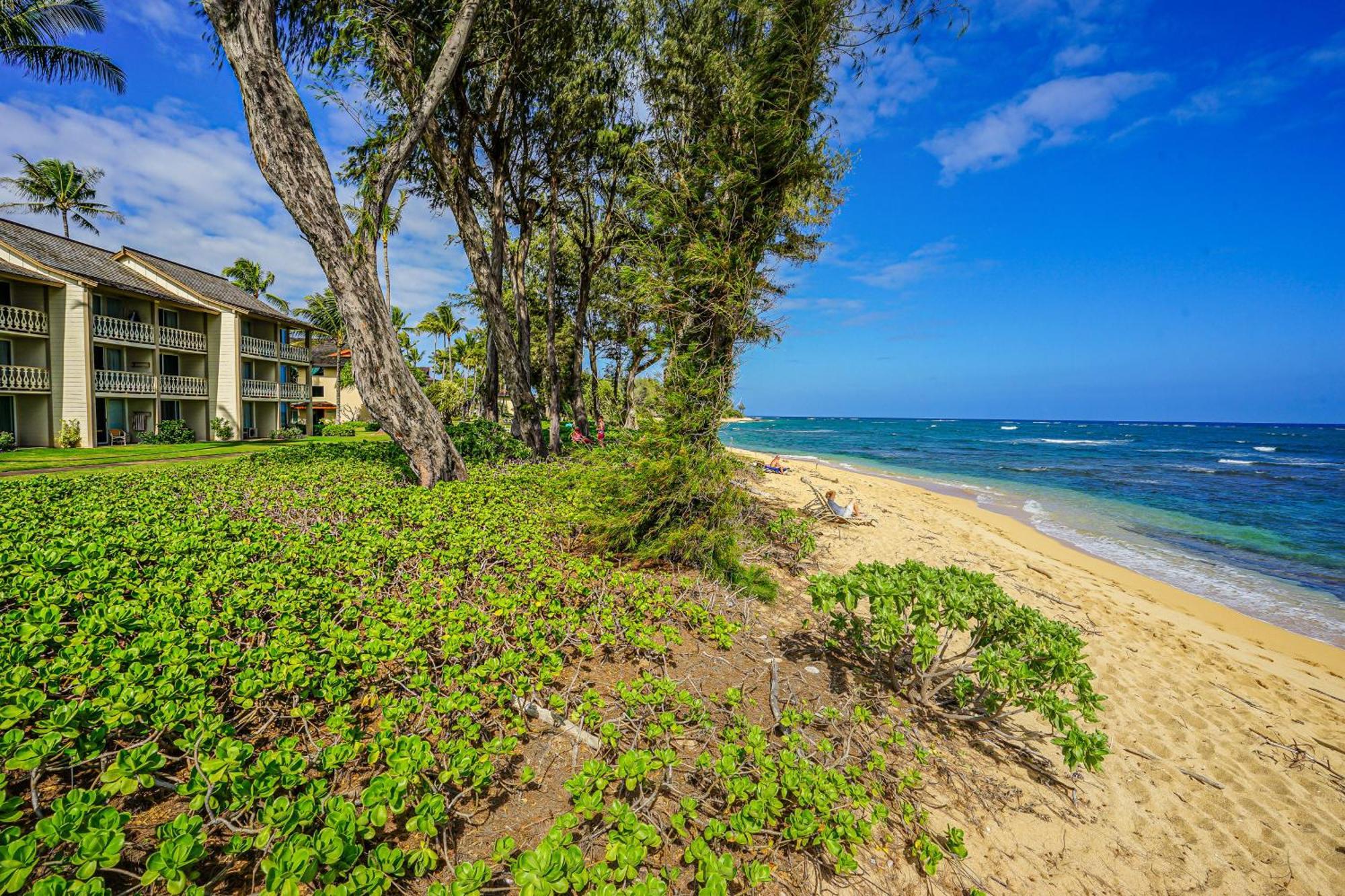 Islander On The Beach 339 Kapa'a Exterior foto